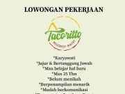 Lowongan Kerja Tacoritto