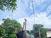 Irfan Hakim Bangun Hutan Mini Seluas 600M