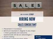 SALES CONSULTANT