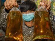 Harga Eceran Tertinggi Minyak Goreng Curah Rp14.000/Liter