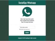 Sadap Whatsapp Yang Baik dan Benar Adalah Seperti ini