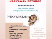 Lowongan Kerja Karyawan Petshop