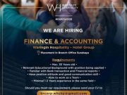 WE ARE HIRING FINANCE & ACCOUNTING