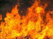 10 Kelas SLB Ludes, Gudang Rongsokan di Rungkut Terbakar!