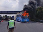 Bus Pariwisata Terbakar di Gerbang Tol Menanggal Juanda, Tidak Ada Korban Jiwa!