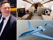 Elon Musk Hadiri KTT G20 Menggunakan Pesawat Pribadi Ke Bali!