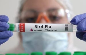 Kemenkes Himbau Masyarakat Waspadai Flu Burung, Begini Pencegahannya!