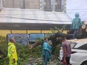 Mobil Tertimpa Pohon, Ibu dan Anak Asal Bendul Merisi Terluka