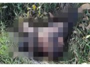 Terungkap Identitas Mayat Wanita Terbakar di Bangkalan Ternyata Warga Surabaya
