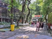 Lebaran Pertama, Kebun Binatang Surabaya Sediakan Ribuan Tiket