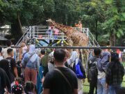 Nikmati Libur Lebaran, Obyek Wisata di Surabaya Dibanjiri Pengunjung