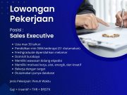 MAHADY TRANS INDONESIA : Lowongan Pekerjaan Sales Executive