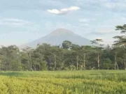Selasa 30 Mei 2023, Prakiraan Cuaca Surabaya, Sidoarjo, dan Gresik