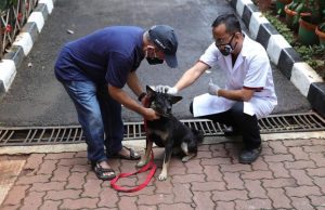 Awas Rabies, Ini Pertolongan Pertama usai Digigit Anjing
