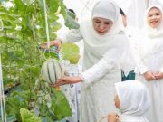 Khofifah: Green House MAS alternatif eduwisata liburan sekolah