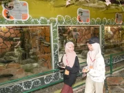 Merangkum Masukan Warga Terkait Surabaya Night Zoo