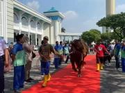 Sudah Tiba di Surabaya, Sapi Buat Kurban Milik Presiden Jokowi Disambut Red Carpet