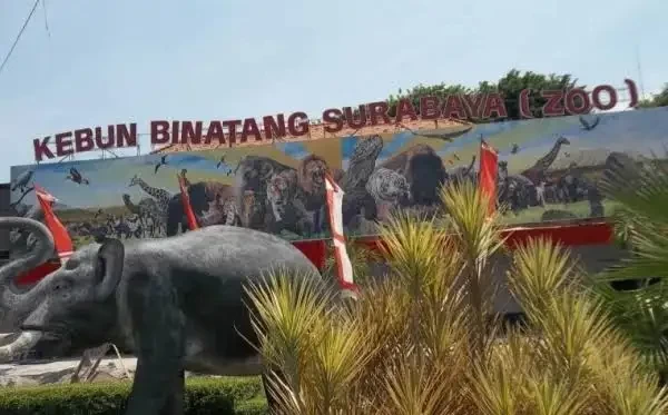 cuaca-kota-surabaya-dan-sekitarnya-cerah-berawan--thumbnail-294