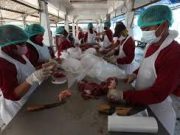 RPH Surabaya Target Peningkatan 10% Hewan Kurban saat Idul Adha 2023