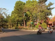 Mengulik Kisah Jalan Dr Soetomo (15) Didesain Khusus dengan Taman di Tengah Jalan