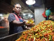 Permintaan Naik, Harga Cabai Rawit di Jatim Tembus Rp 40.000 per Kg