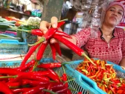 Kendalikan Harga Bahan Pokok, Pemkot Surabaya Kerja Sama dengan Tetangga