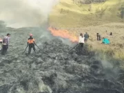 Kebakaran Bukit Teletubbies Bromo Masih Berlangsung, Pemadaman Dilakukan dengan Water Bombing