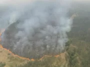 Kebakaran di Gunung Arjuno Meluas hingga 1.300 Hektare