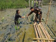 Puncak Hari Santri Dimulai dengan Tanam Ribuan Bibit Mangrove di Pantai Romokalisari Surabaya