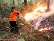 Karhutla Gunung Lawu Meluas 30 Hektare, Medan Curam dan Angin Kencang Hambat Pemadaman