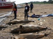 Ngeri, BMKG Ingatkan Ada Ancaman Malapetaka Hantam Bumi