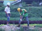Jual Perusahaan Limbah Sawit ke Shell, Emiten Ini Dicecar BEI