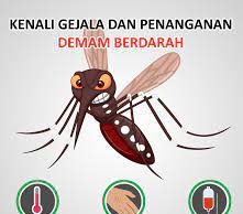 Surabaya Mulai Waspada Laporan Demam Berdarah menghadapi transisi iklim