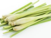 10 Manfaat Serai untuk Kesehatan dan Efek Sampingnya Bagi Tubuh