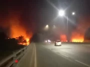 Tumpukan Kayu di Bawah Tol Dupak Dilalap Api