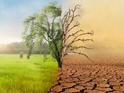 Badan Meteorologi, Klimatologi, dan Geofisika (BMKG) telah merilis prediksi musim kemarau 2025 di Indonesia.