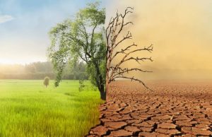 Badan Meteorologi, Klimatologi, dan Geofisika (BMKG) telah merilis prediksi musim kemarau 2025 di Indonesia.