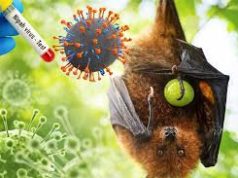 Wabah Virus Nipah Jadi Alarm Asia, Pemerintah Perketat Mobilitas Lintas Negara